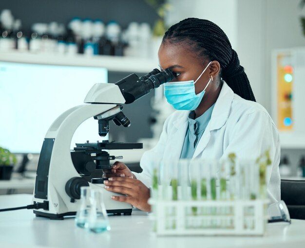 Prad Medics Pharmacy